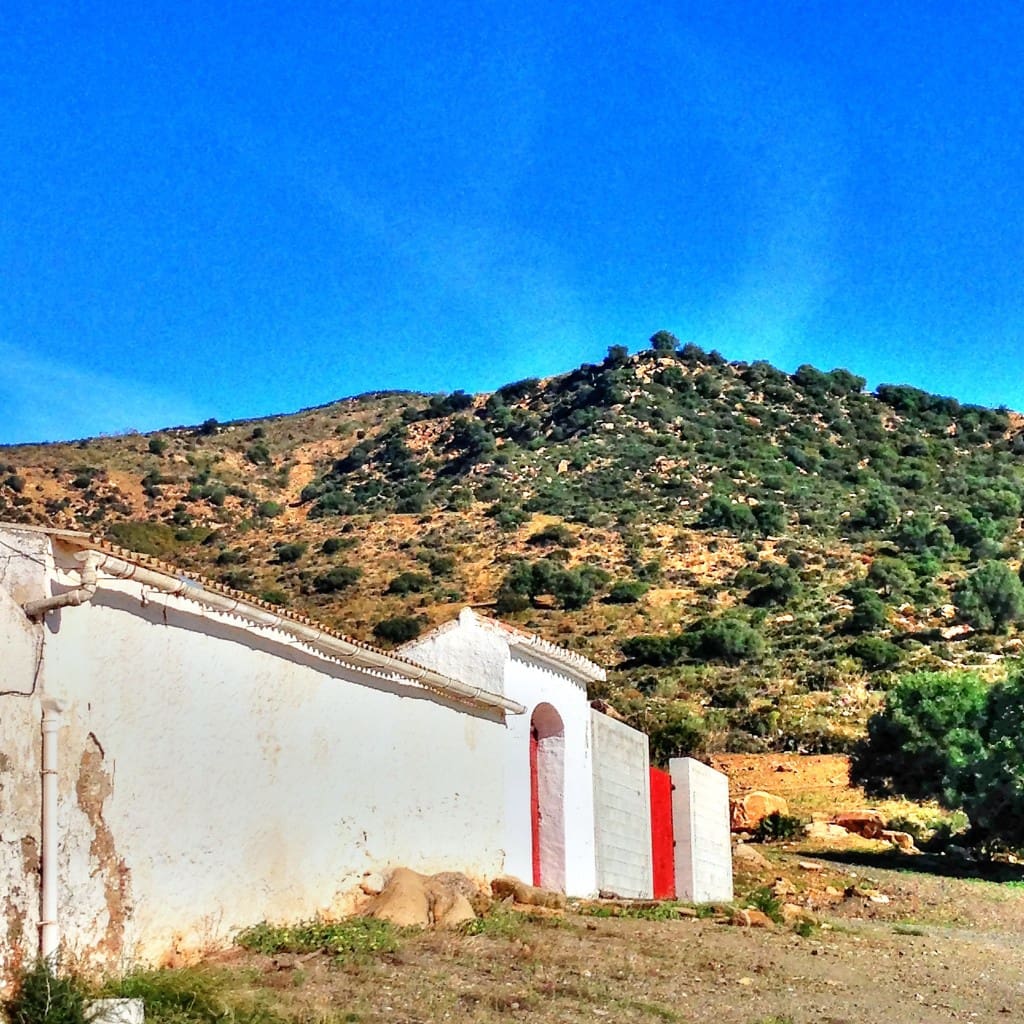 10 soverom Finca/Herregård til salgs i Alora - € 990 000 (Ref: 7991558)