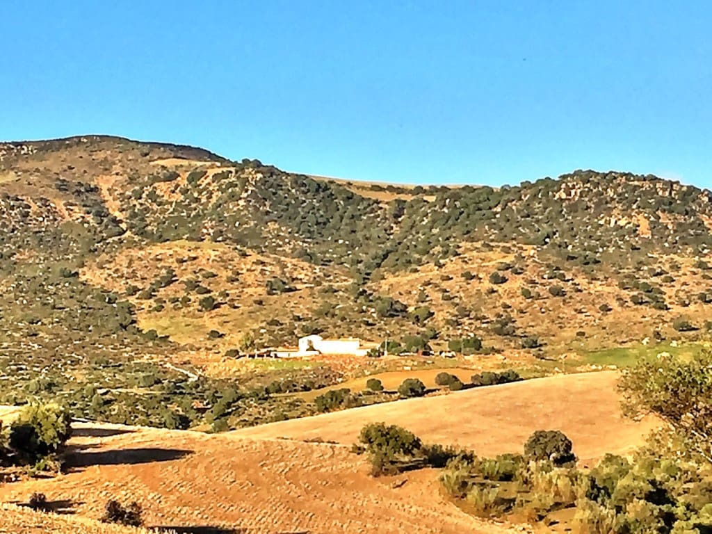 10 soverom Finca/Herregård til salgs i Alora - € 990 000 (Ref: 7991558)