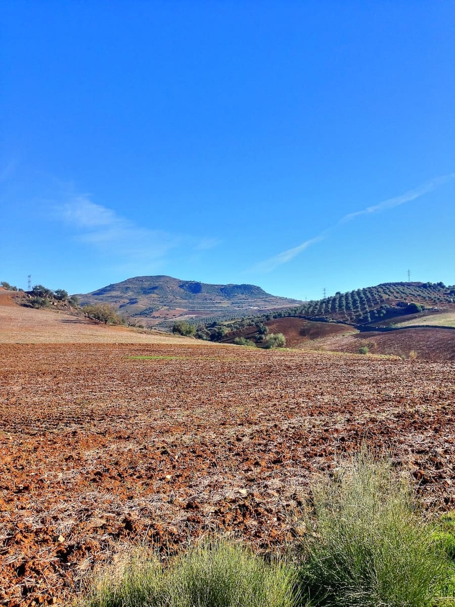 10 soverom Finca/Herregård til salgs i Alora - € 990 000 (Ref: 7991558)