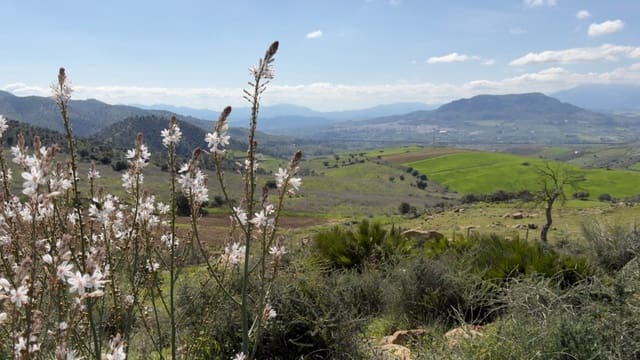 10 slaapkamer Finca/Landhuis te koop in Alora - € 799.000 (Ref: 7991558)