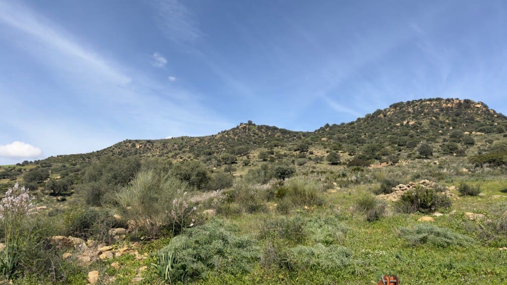 10 soverom Finca/Herregård til salgs i Alora - € 799 000 (Ref: 7991558)