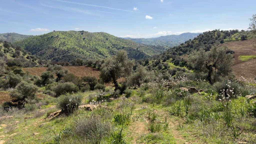 10 soverom Finca/Herregård til salgs i Alora - € 799 000 (Ref: 7991558)