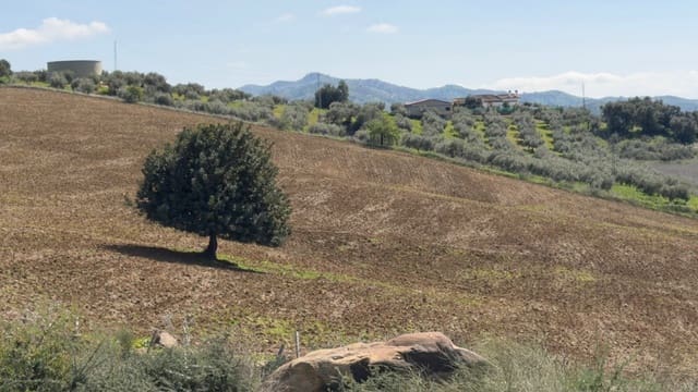 10 slaapkamer Finca/Landhuis te koop in Alora - € 799.000 (Ref: 7991558)