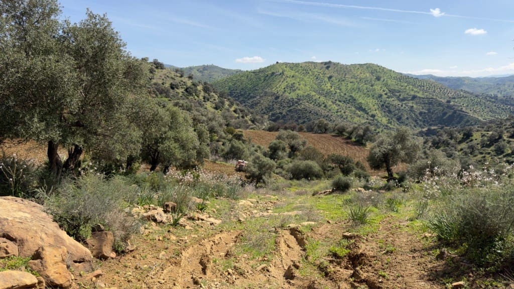 10 soverom Finca/Herregård til salgs i Alora - € 799 000 (Ref: 7991558)