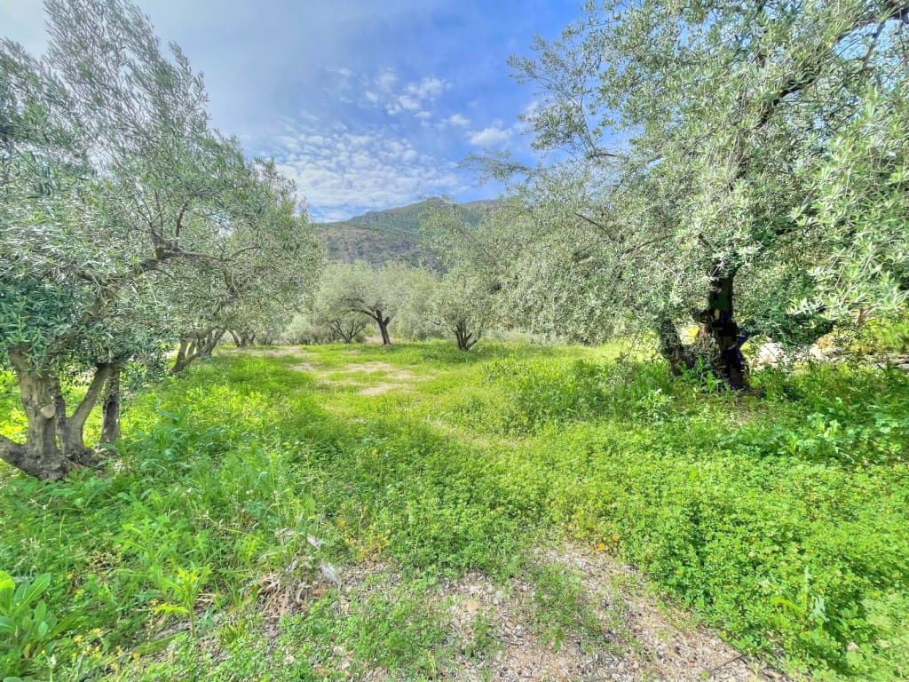 2 soverom Finca/Herregård til salgs i Periana med garasje - € 168 500 (Ref: 8052121)