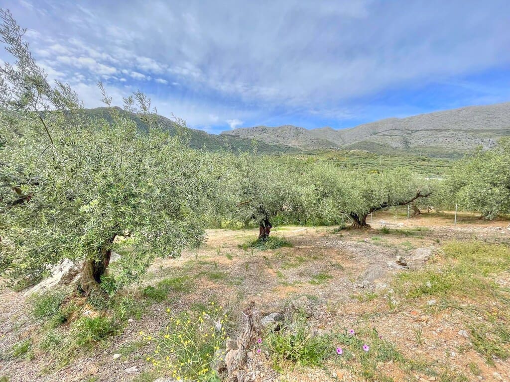 2 quarto Quinta/Casa Rural para venda em Periana com garagem - 138 500 € (Ref: 8052121)