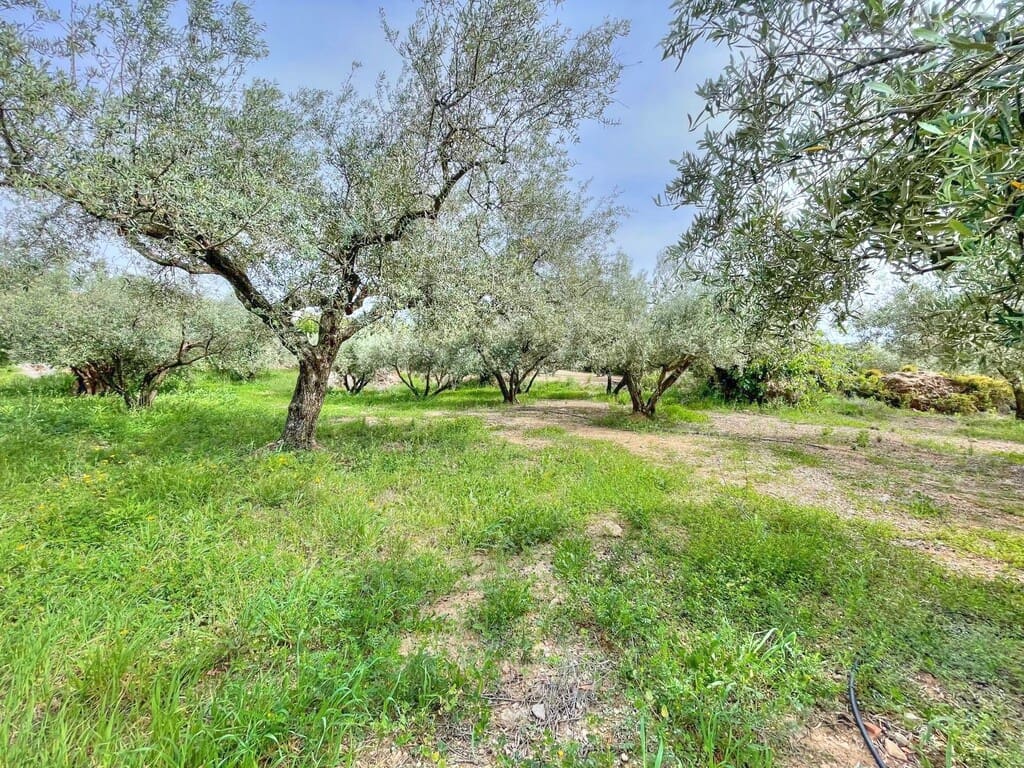 2 quarto Quinta/Casa Rural para venda em Periana com garagem - 138 500 € (Ref: 8052121)