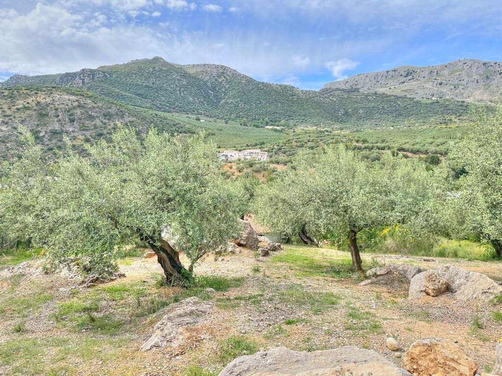 2 quarto Quinta/Casa Rural para venda em Periana com garagem - 138 500 € (Ref: 8052121)