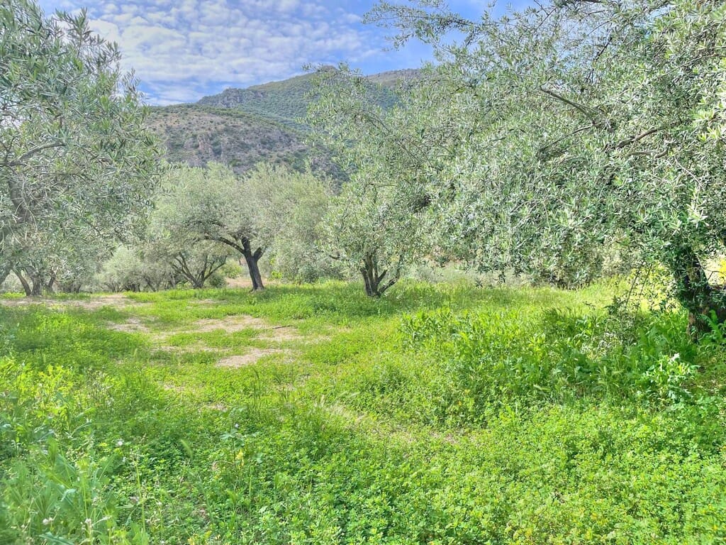 2 quarto Quinta/Casa Rural para venda em Periana com garagem - 138 500 € (Ref: 8052121)