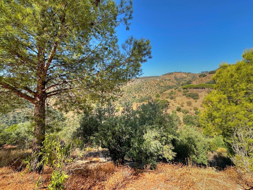 2 chambre Finca/Maison de Campagne à vendre à Colmenar avec piscine - 180 000 € (Ref: 8494899)