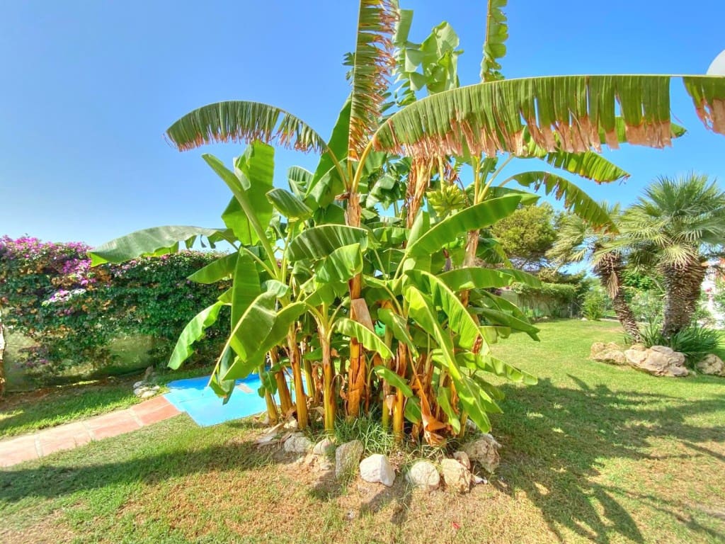 2 sovrum Lägenhet att hyra i Benajarafe med pool - 900 € (Ref: 8505566)