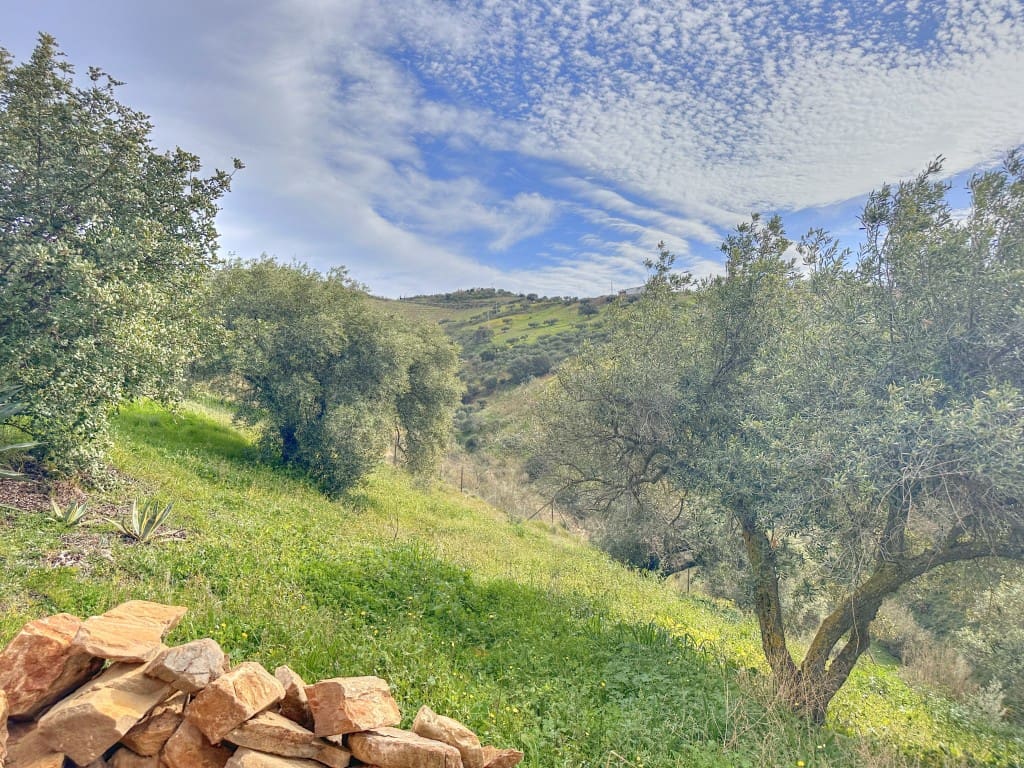 4 soveværelse Finca/Landehus til salg i Antequera - € 295.000 (Ref: 8727393)
