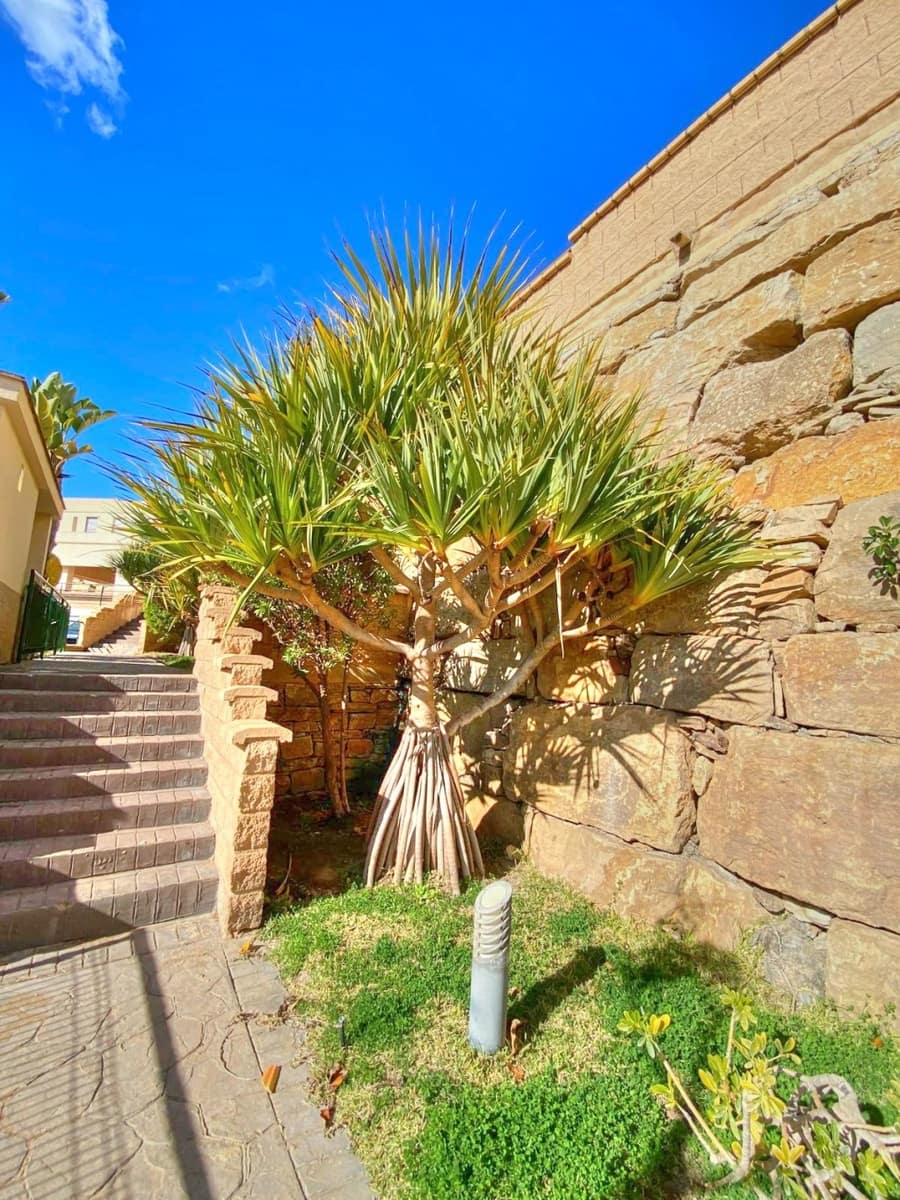 2 bedroom Townhouse for sale in Almayate with pool garage - € 330,000 (Ref: 8781063)