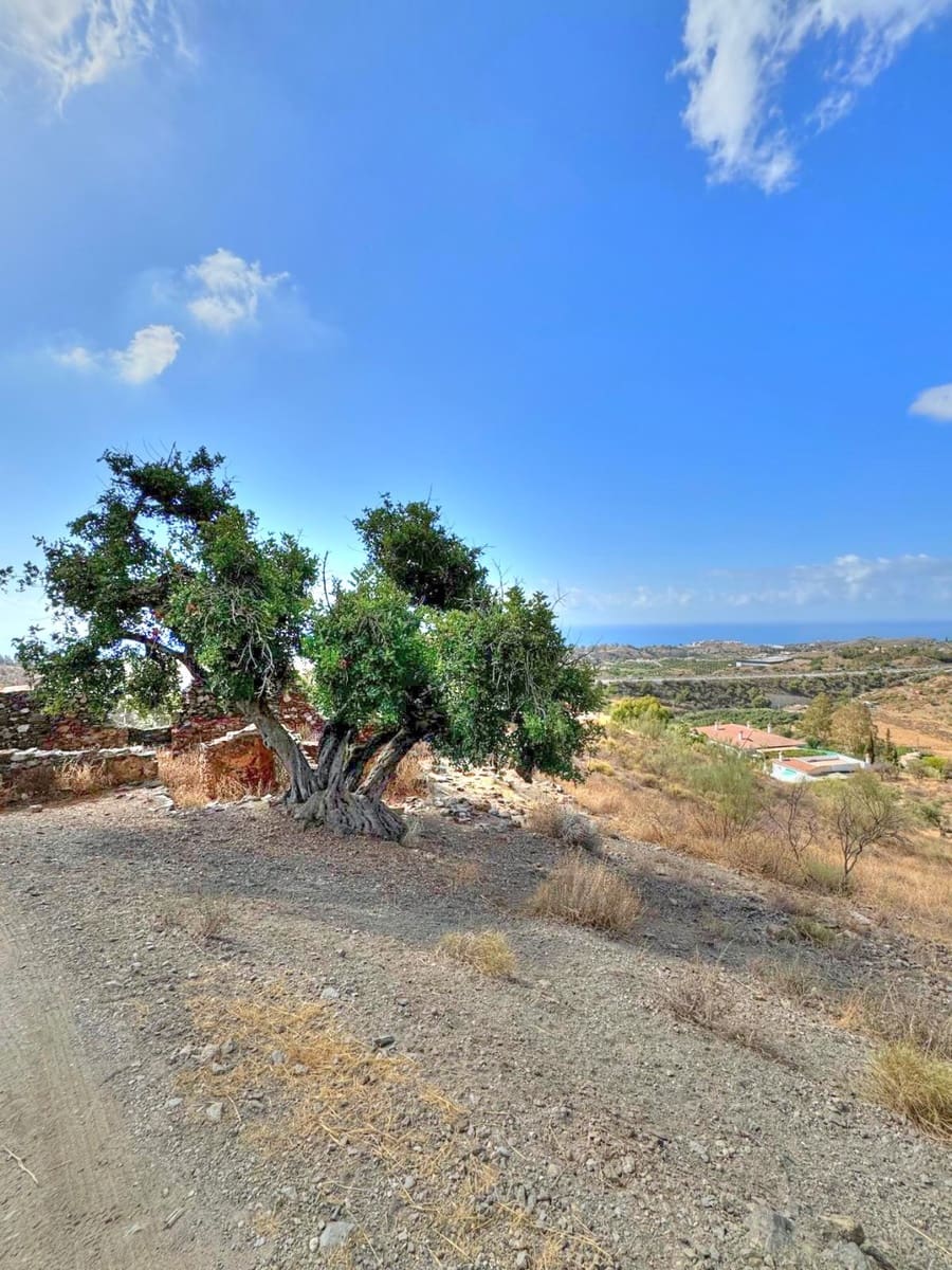 Grunde uden byggetilladelser til salg i Benajarafe - € 90.000 (Ref: 8834117)