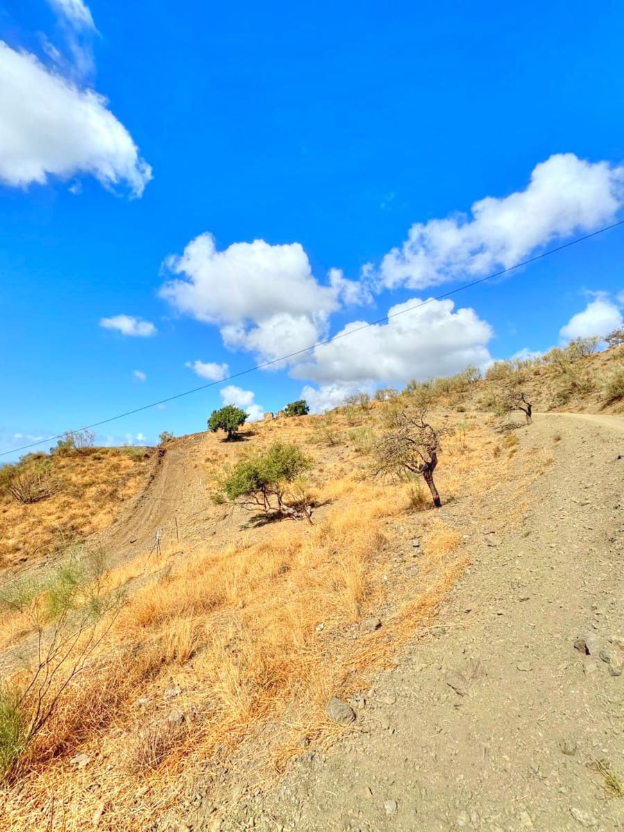 Grunde uden byggetilladelser til salg i Benajarafe - € 90.000 (Ref: 8834117)