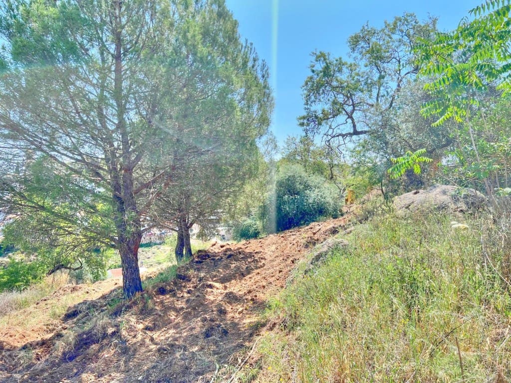 4 sypialnia Finka/Dom wiejski na sprzedaż w Colmenar z basenem - 650 000 € (Ref: 8848811)