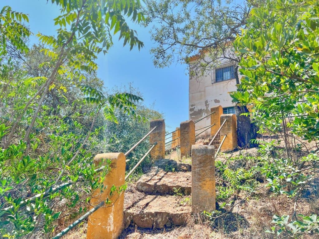 4 sypialnia Finka/Dom wiejski na sprzedaż w Colmenar z basenem - 650 000 € (Ref: 8848811)