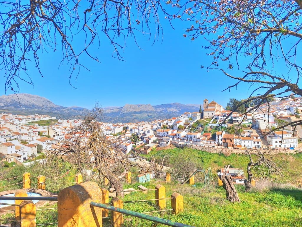 4 sypialnia Finka/Dom wiejski na sprzedaż w Colmenar z basenem - 650 000 € (Ref: 8848811)