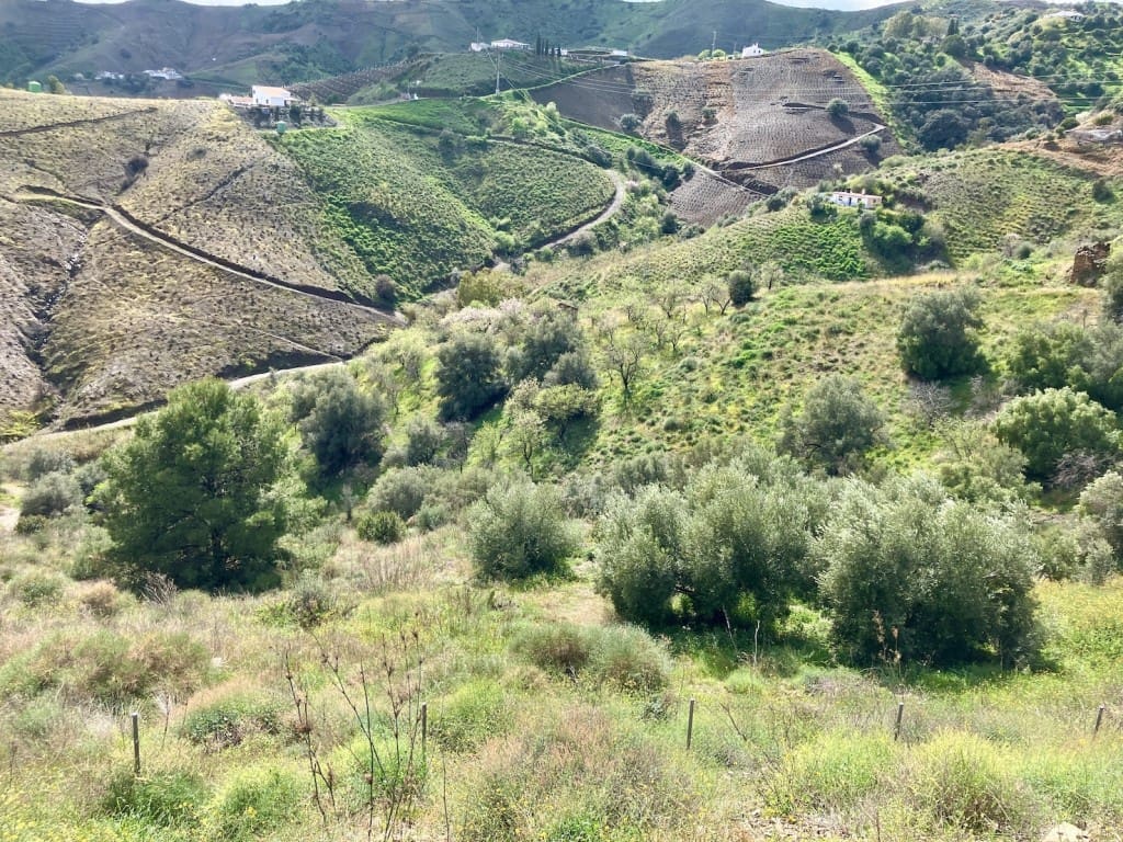 3 chambre Finca/Maison de Campagne à vendre à Almachar avec piscine - 365 000 € (Ref: 8851423)