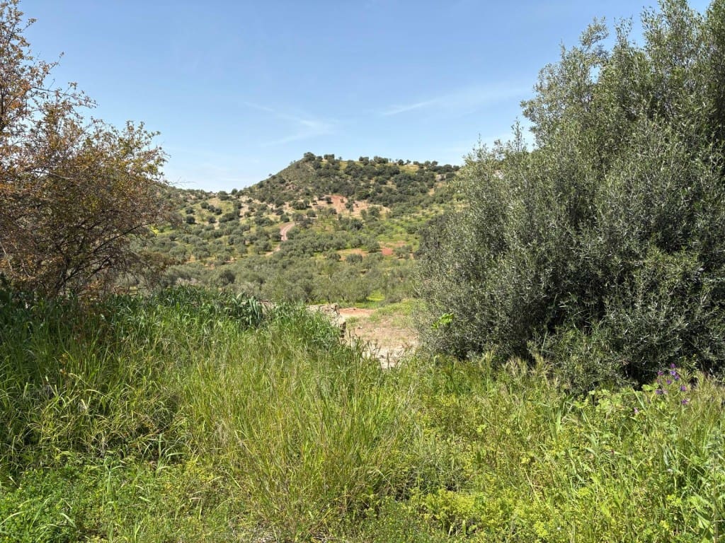 5 sypialnia Finka/Dom wiejski na sprzedaż w Casabermeja - 150 000 € (Ref: 9017370)