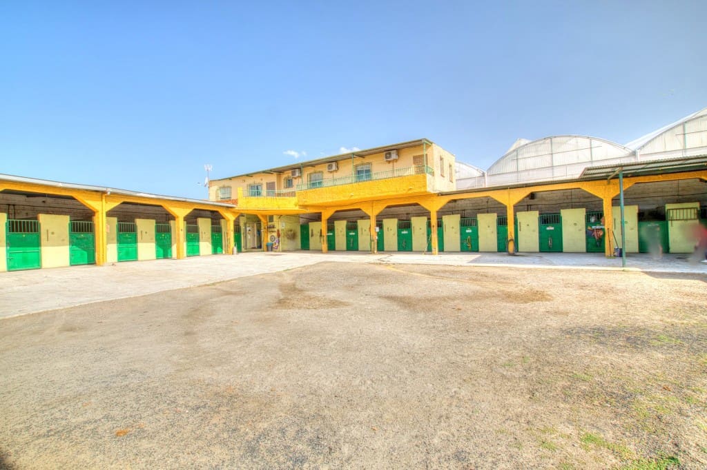 4 sypialnia Finka/Dom wiejski na sprzedaż w Velez-Malaga z basenem - 1 180 000 € (Ref: 9164767)