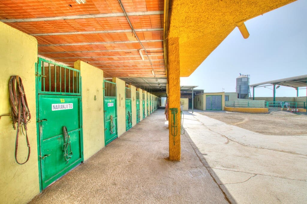 4 sypialnia Finka/Dom wiejski na sprzedaż w Velez-Malaga z basenem - 1 180 000 € (Ref: 9164767)