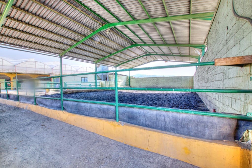 4 sypialnia Finka/Dom wiejski na sprzedaż w Velez-Malaga z basenem - 1 180 000 € (Ref: 9164767)