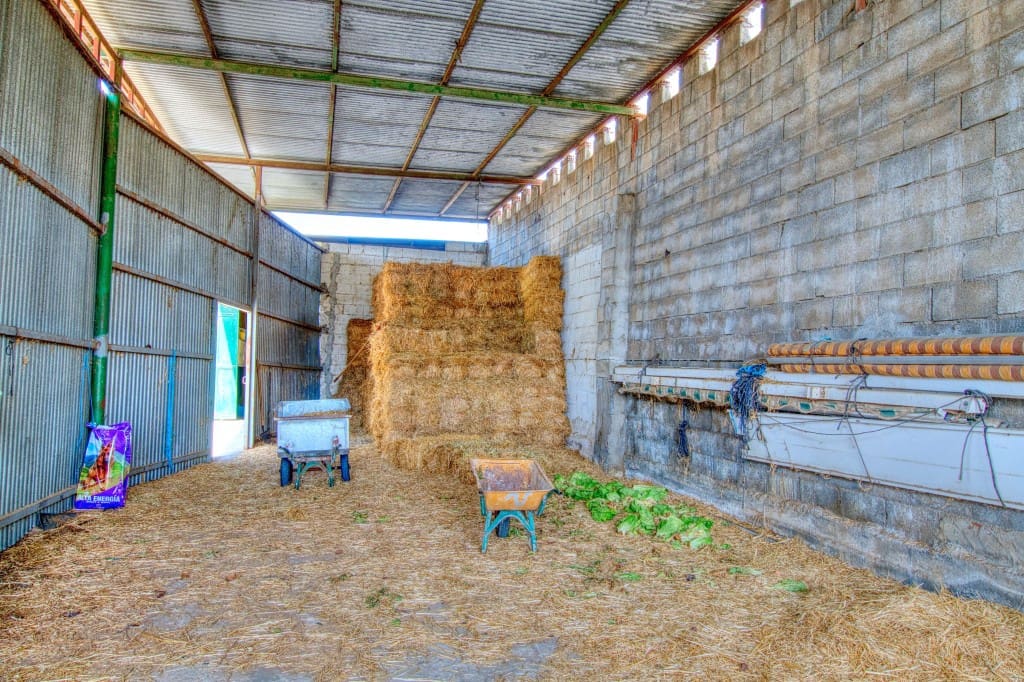 4 sypialnia Finka/Dom wiejski na sprzedaż w Velez-Malaga z basenem - 1 180 000 € (Ref: 9164767)