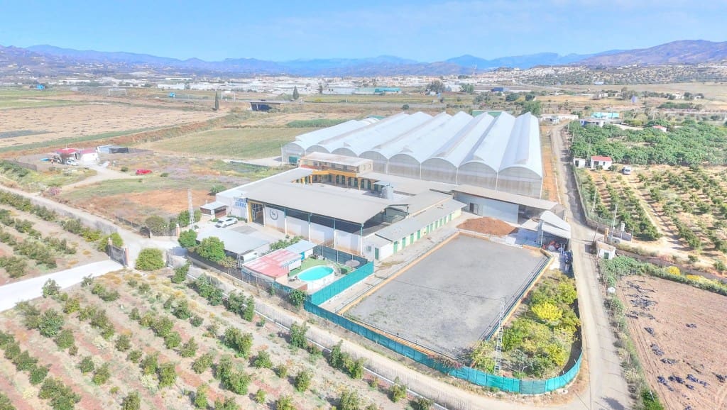 4 sypialnia Finka/Dom wiejski na sprzedaż w Velez-Malaga z basenem - 1 180 000 € (Ref: 9164767)