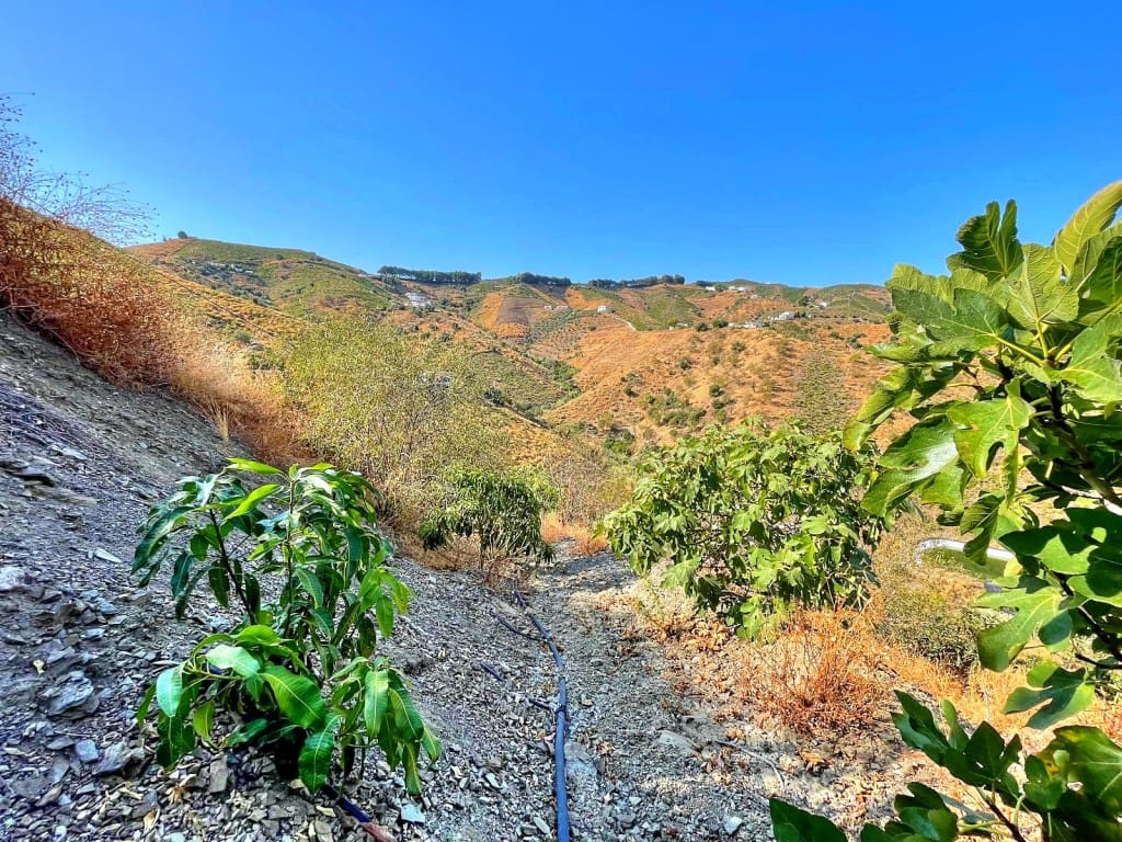 1 soveværelse Finca/Landehus til salg i El Borge med swimmingpool - € 215.000 (Ref: 9173250)