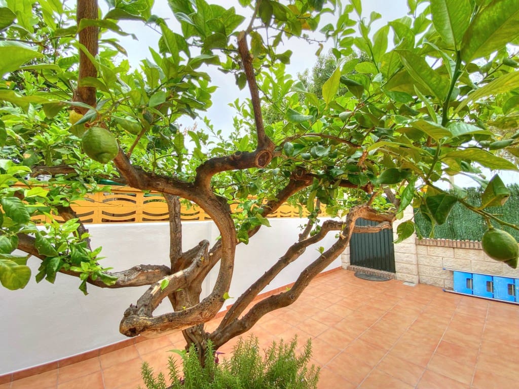 3 soveværelse Byhus til leje i Chilches med swimmingpool - € 1.100 (Ref: 9188125)