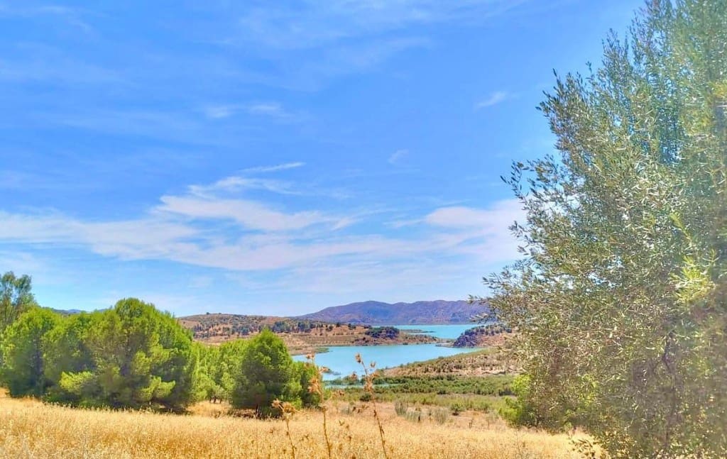 Ubebygd land til salgs i Periana - € 210 000 (Ref: 9197550)