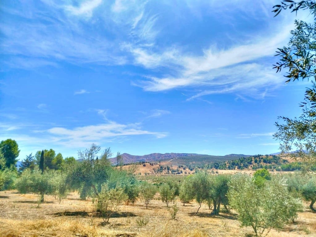 Ubebygd land til salgs i Periana - € 210 000 (Ref: 9197550)