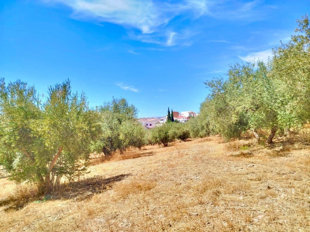 Ubebygd land til salgs i Periana - € 210 000 (Ref: 9197550)