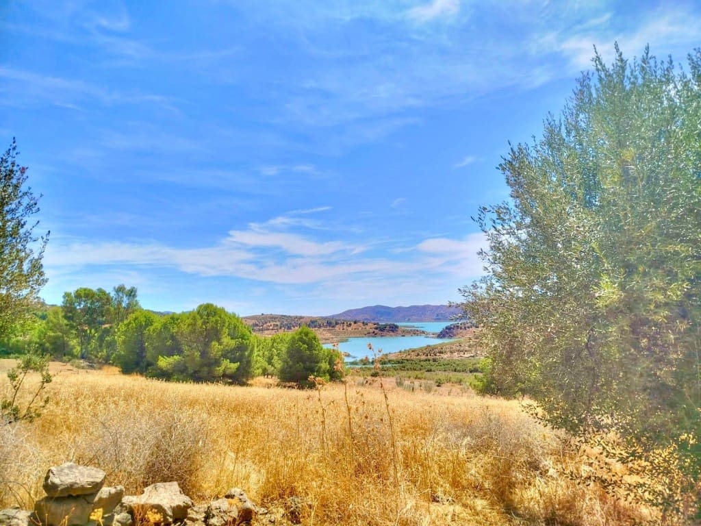 Ubebygd land til salgs i Periana - € 210 000 (Ref: 9197550)