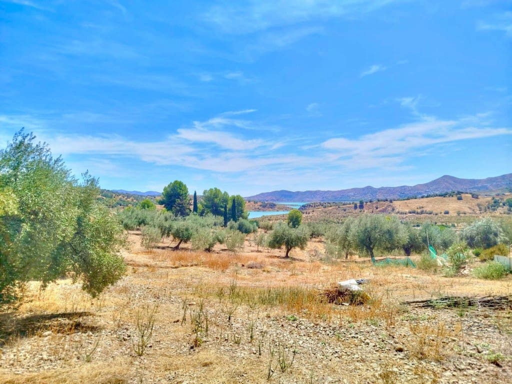 Ubebygd land til salgs i Periana - € 210 000 (Ref: 9197550)