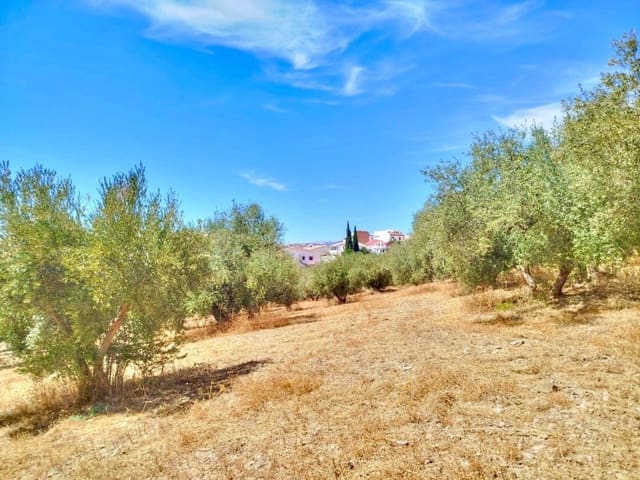 Grunde uden byggetilladelser til salg i Periana - € 210.000 (Ref: 9197550)