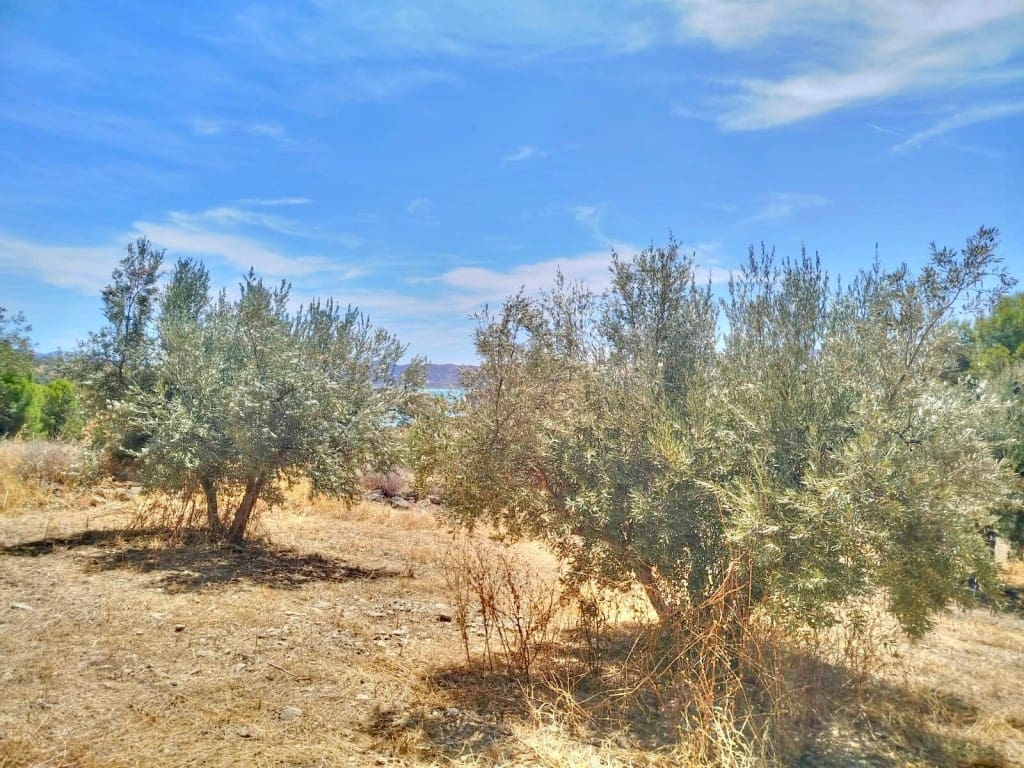 Ubebygd land til salgs i Periana - € 210 000 (Ref: 9197550)