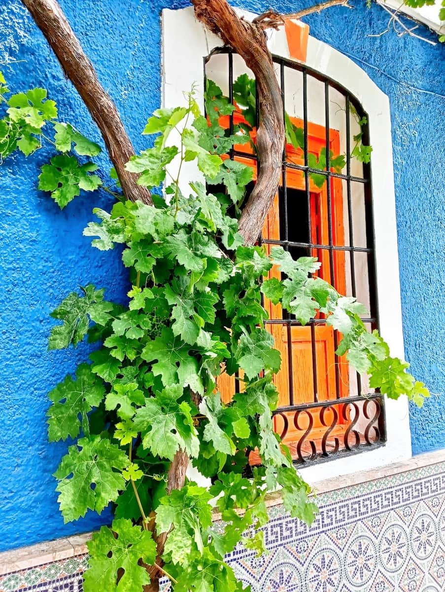 3 soveværelse Finca/Landehus til salg i Archez med swimmingpool - € 790.000 (Ref: 9334481)