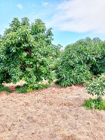 3 soveværelse Finca/Landehus til salg i Archez med swimmingpool - € 790.000 (Ref: 9334481)