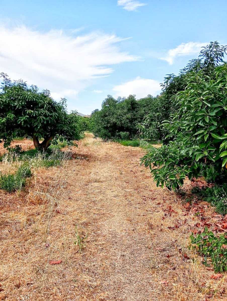 3 soveværelse Finca/Landehus til salg i Archez med swimmingpool - € 790.000 (Ref: 9334481)