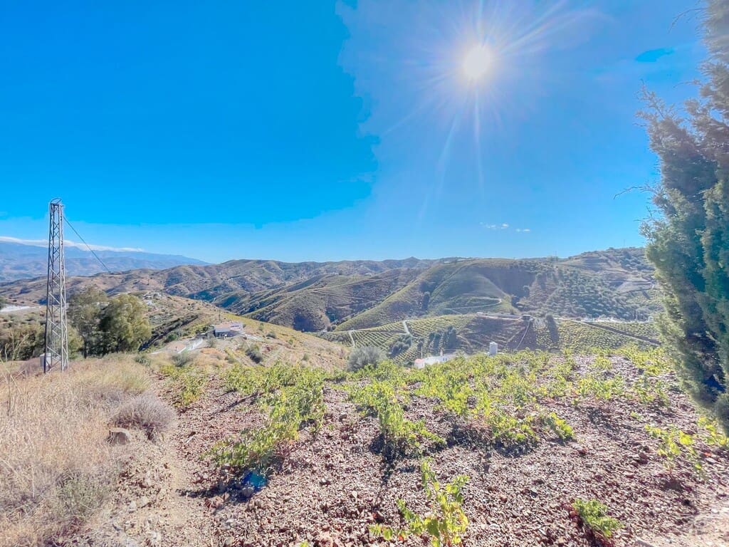 4 chambre Finca/Maison de Campagne à vendre à El Borge avec piscine - 336 000 € (Ref: 9334482)