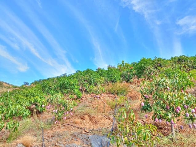 Mark till salu i El Borge - 300 000 € (Ref: 9374922)