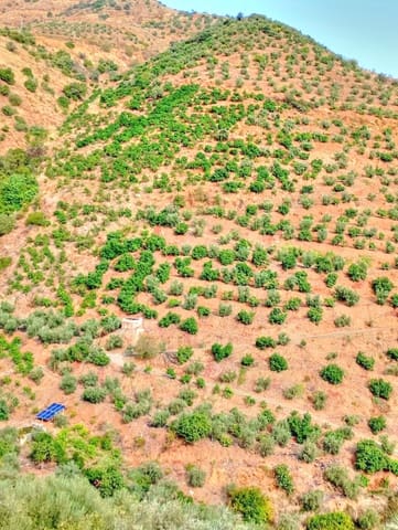 Mark till salu i El Borge - 300 000 € (Ref: 9374922)