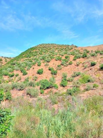 Mark till salu i El Borge - 300 000 € (Ref: 9374922)