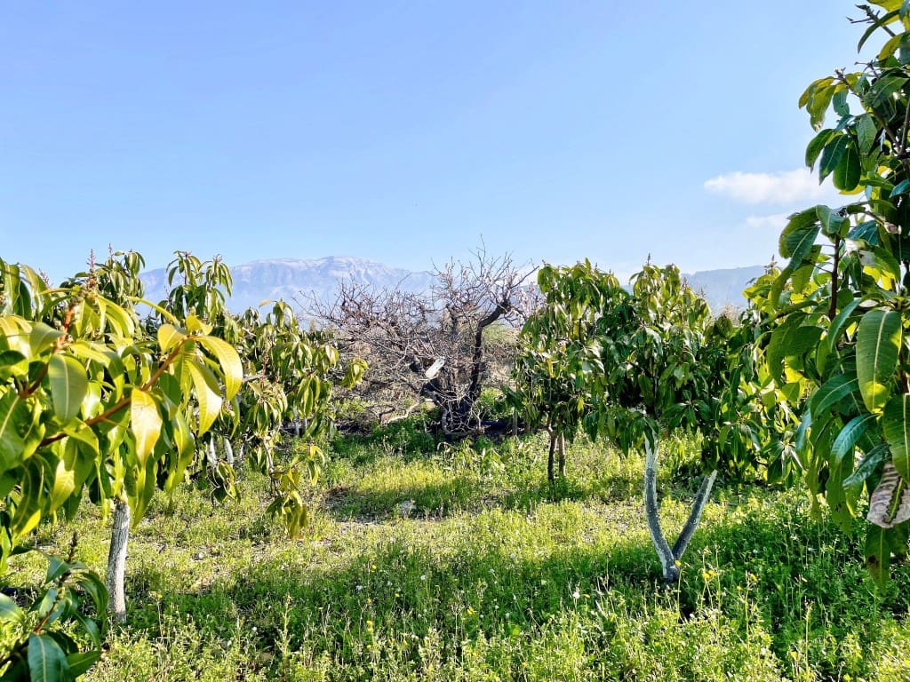 4 camera da letto Finca/Casa di Campagna in vendita in Velez-Malaga - 650.000 € (Rif: 9689966)