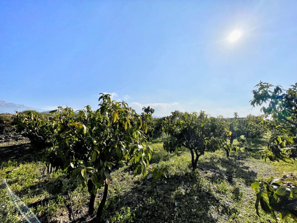 4 camera da letto Finca/Casa di Campagna in vendita in Velez-Malaga - 650.000 € (Rif: 9689966)