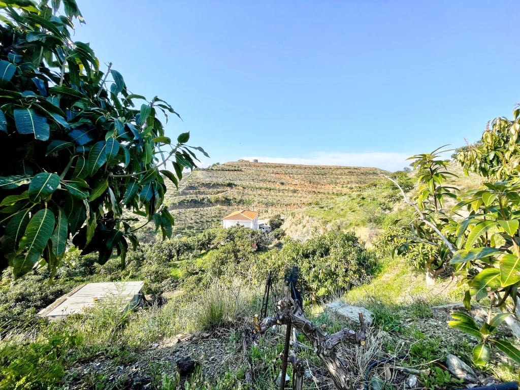 4 camera da letto Finca/Casa di Campagna in vendita in Velez-Malaga - 650.000 € (Rif: 9689966)