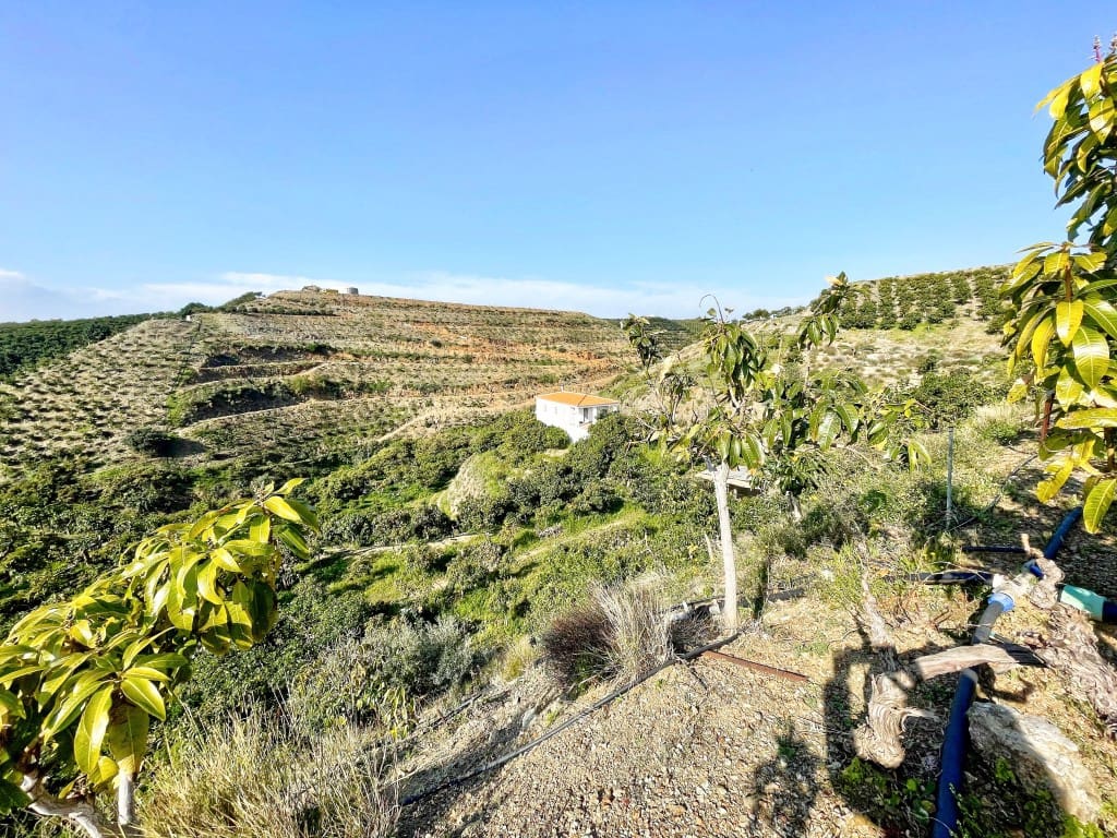 4 camera da letto Finca/Casa di Campagna in vendita in Velez-Malaga - 650.000 € (Rif: 9689966)