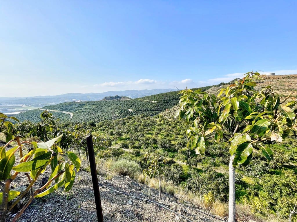 4 camera da letto Finca/Casa di Campagna in vendita in Velez-Malaga - 650.000 € (Rif: 9689966)